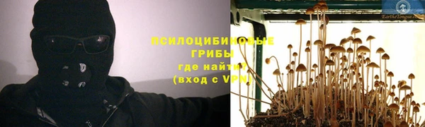мдпв Арсеньев