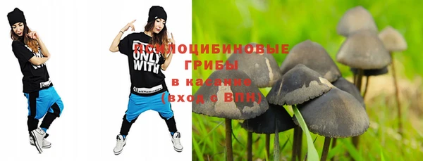 мдпв Арсеньев